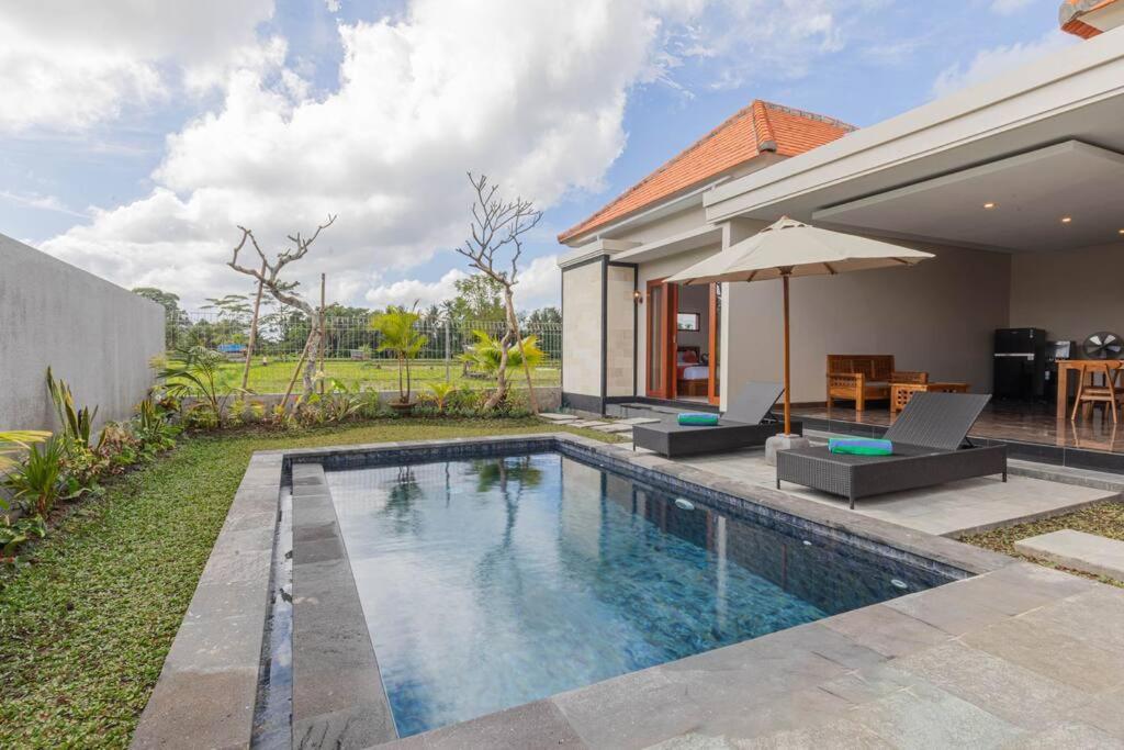 New Private Pool Villa - Villa Dhea Ubud מראה חיצוני תמונה