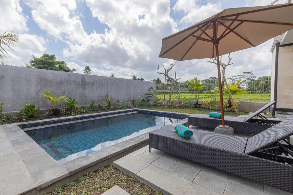 New Private Pool Villa - Villa Dhea Ubud מראה חיצוני תמונה
